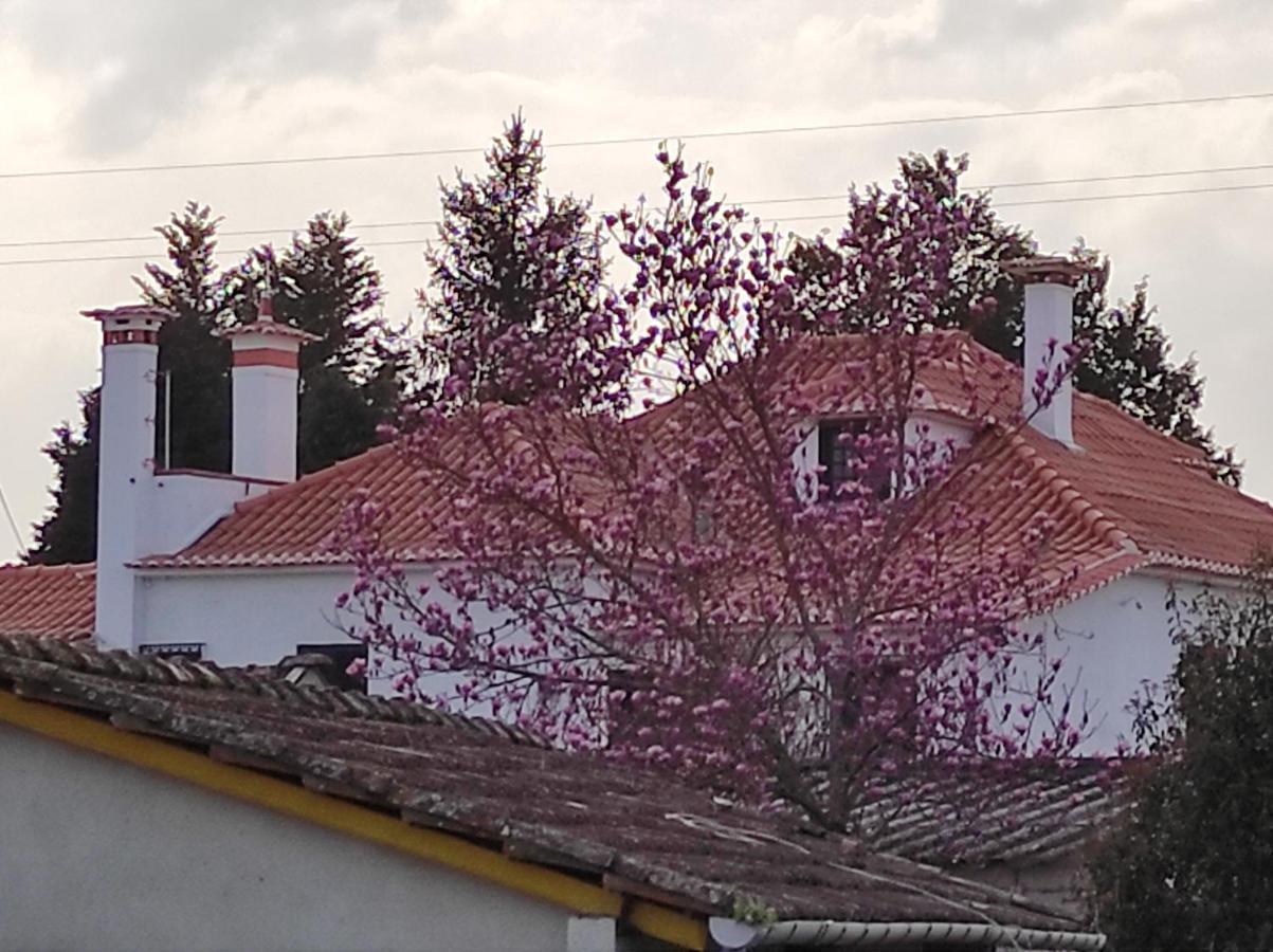 Апартаменты Quinta Do Gestal - Soutelo Вила-Верди Экстерьер фото