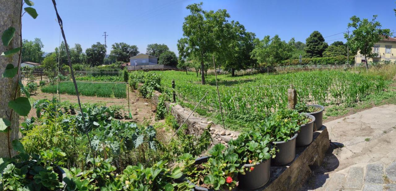 Апартаменты Quinta Do Gestal - Soutelo Вила-Верди Экстерьер фото